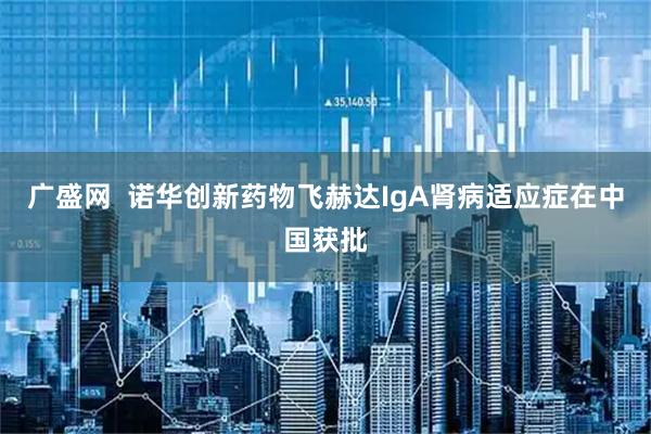 广盛网  诺华创新药物飞赫达IgA肾病适应症在中国获批