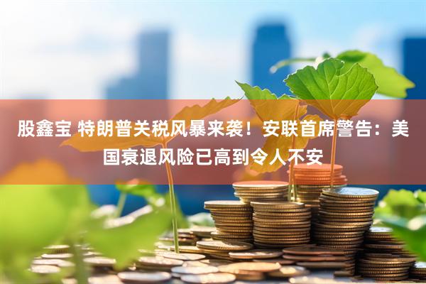 股鑫宝 特朗普关税风暴来袭！安联首席警告：美国衰退风险已高到令人不安