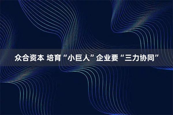 众合资本 培育“小巨人”企业要“三力协同”