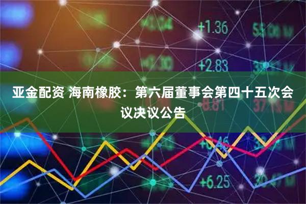亚金配资 海南橡胶：第六届董事会第四十五次会议决议公告