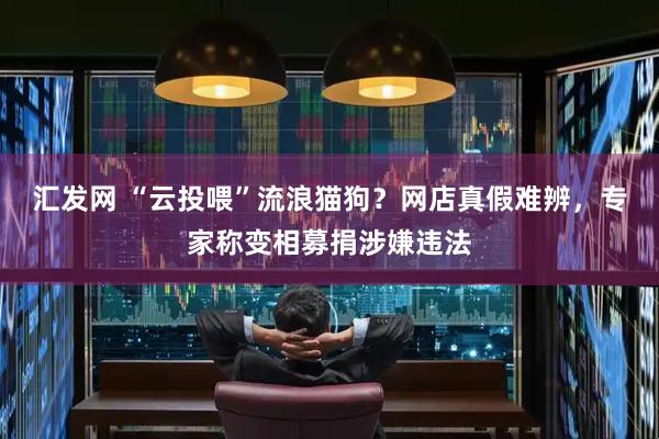 汇发网 “云投喂”流浪猫狗？网店真假难辨，专家称变相募捐涉嫌违法