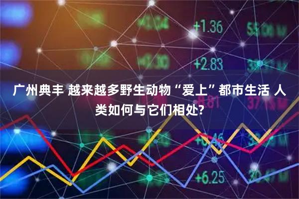 广州典丰 越来越多野生动物“爱上”都市生活 人类如何与它们相处?