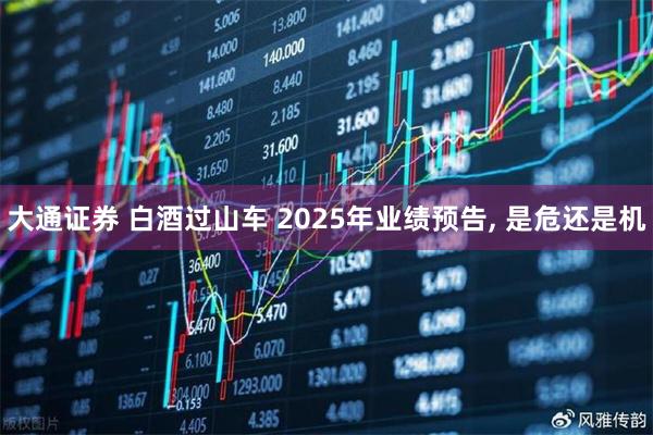 大通证券 白酒过山车 2025年业绩预告, 是危还是机