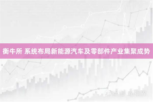 衡牛所 系统布局新能源汽车及零部件产业集聚成势